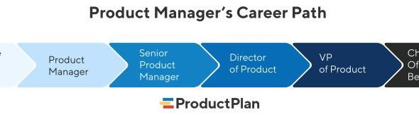 Product manager’s career path